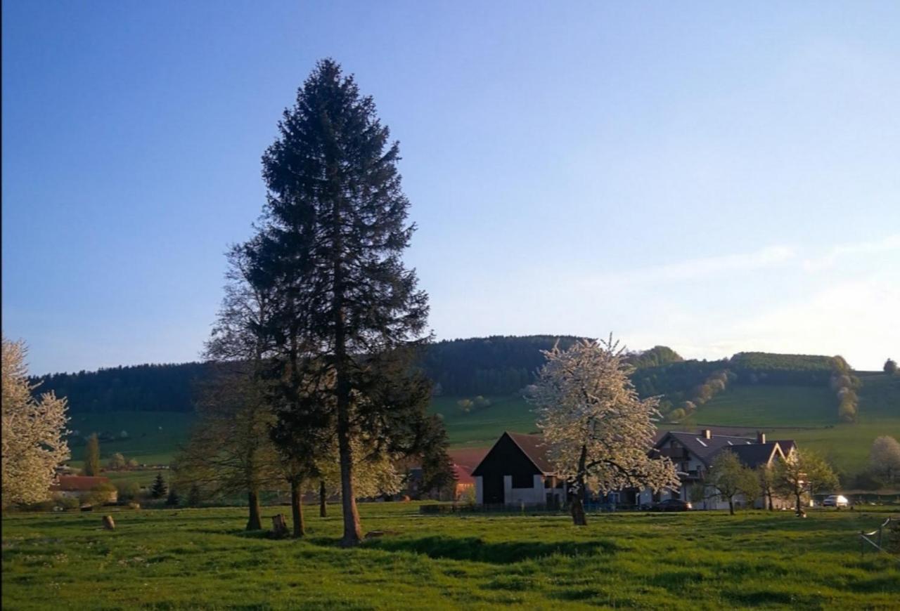 Agroturystyka "U Kasi" Scinawka Gorna Exteriér fotografie