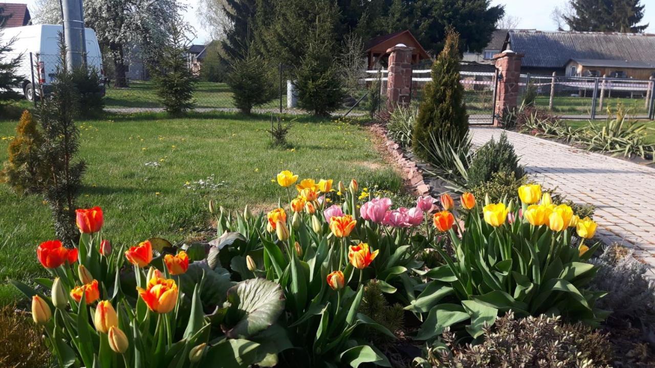 Agroturystyka "U Kasi" Scinawka Gorna Exteriér fotografie