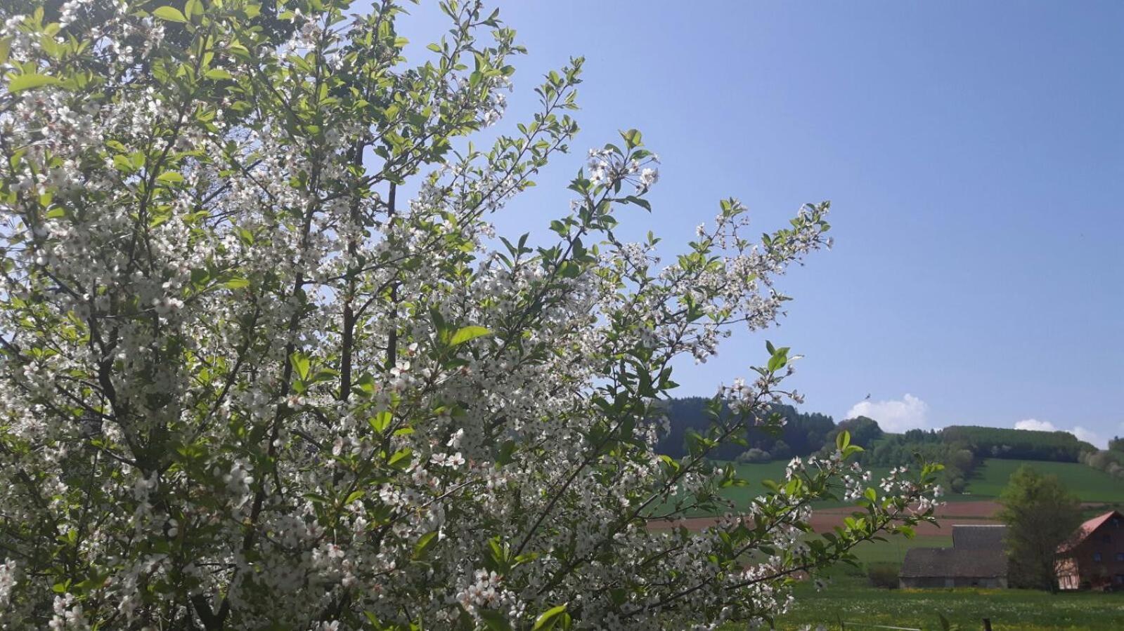 Agroturystyka "U Kasi" Scinawka Gorna Exteriér fotografie