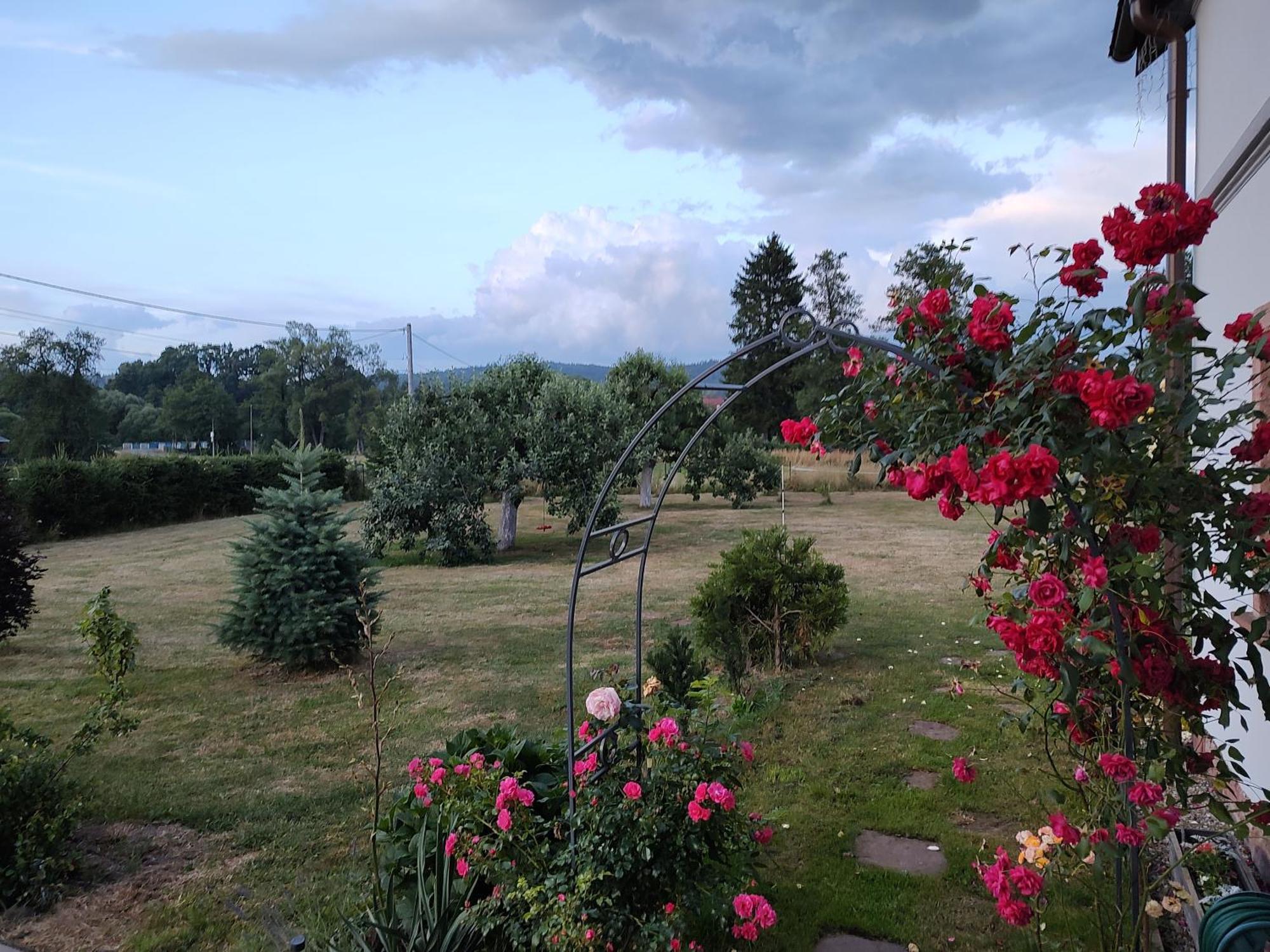 Agroturystyka "U Kasi" Scinawka Gorna Exteriér fotografie