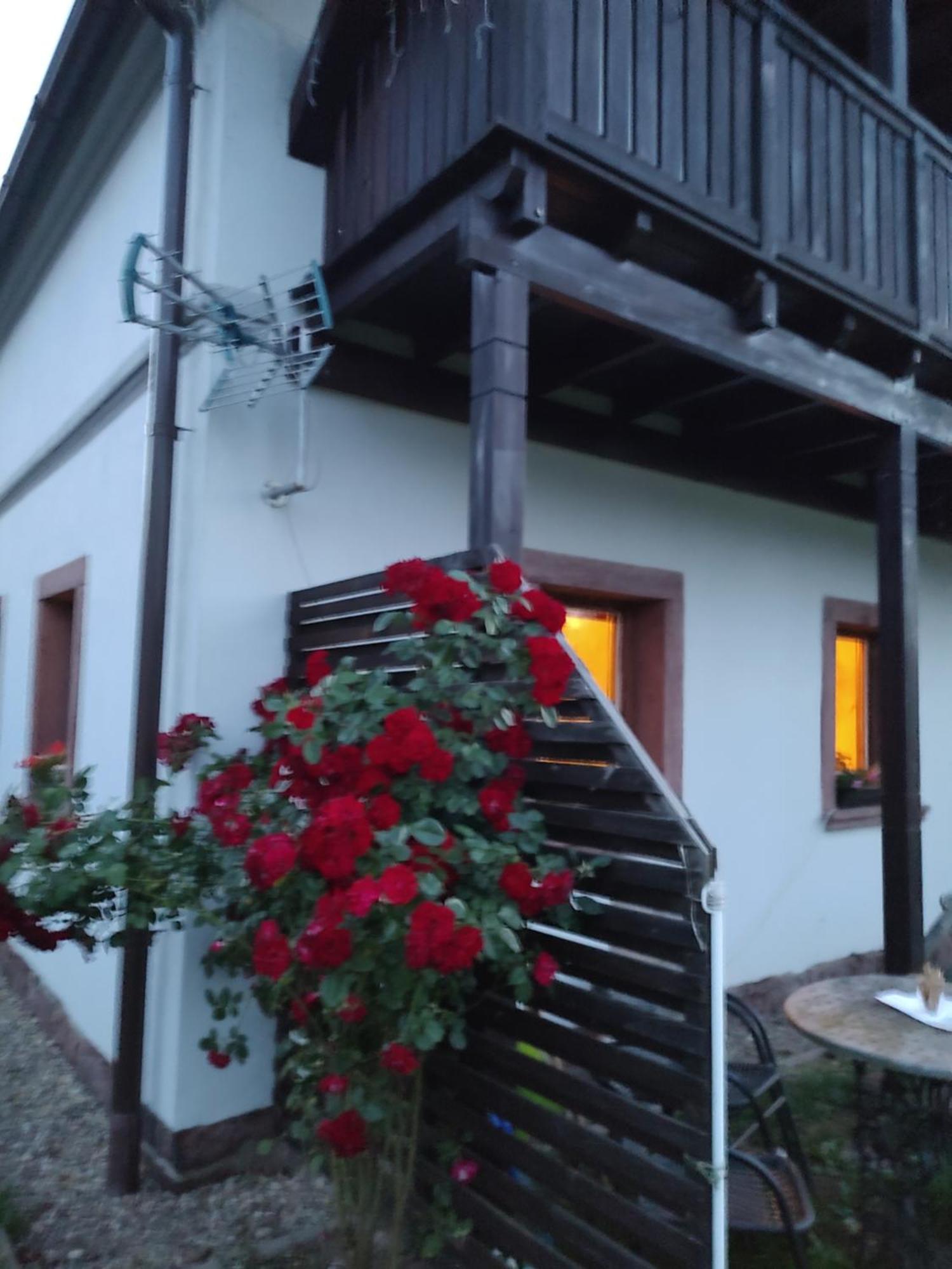 Agroturystyka "U Kasi" Scinawka Gorna Exteriér fotografie