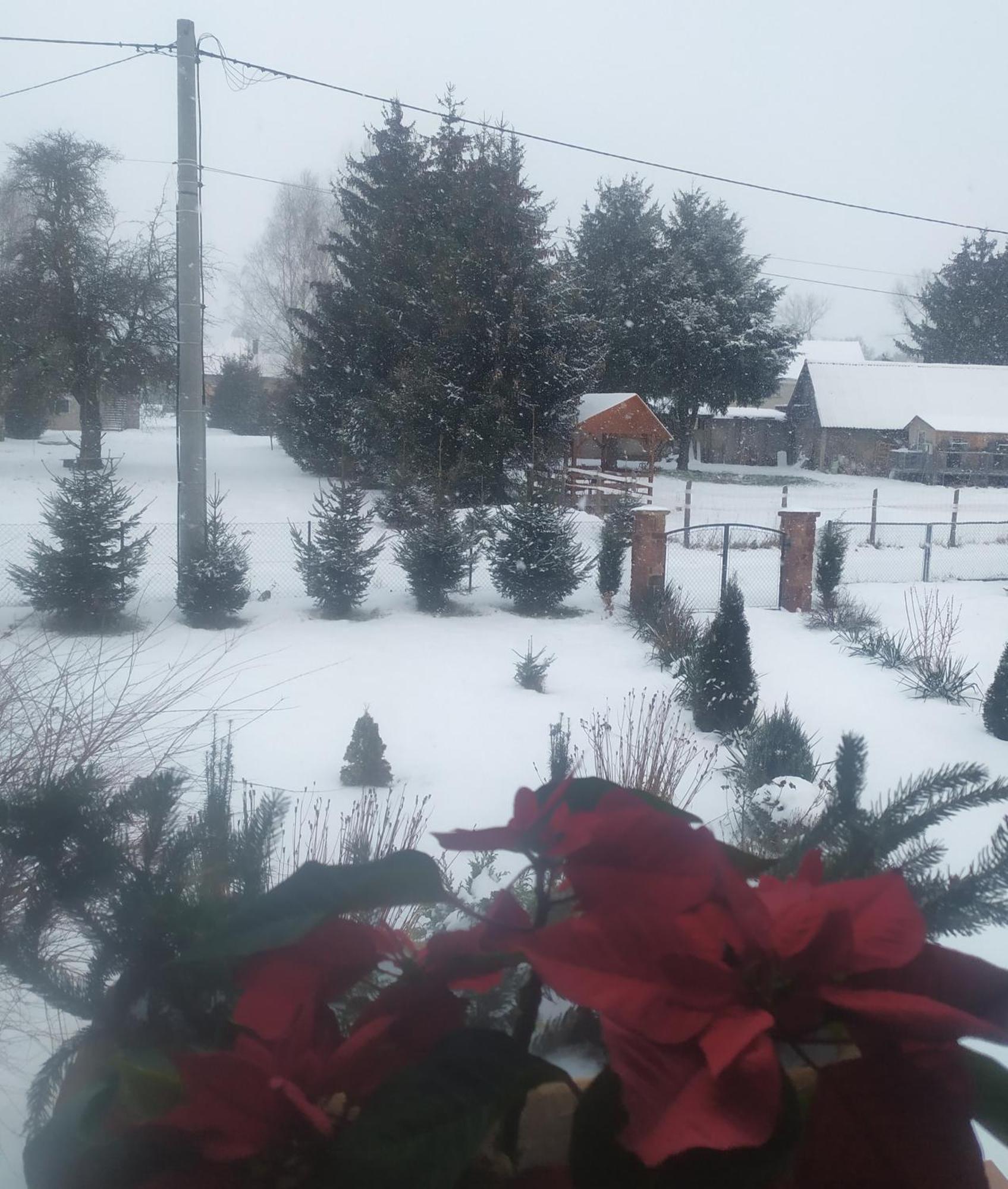 Agroturystyka "U Kasi" Scinawka Gorna Exteriér fotografie