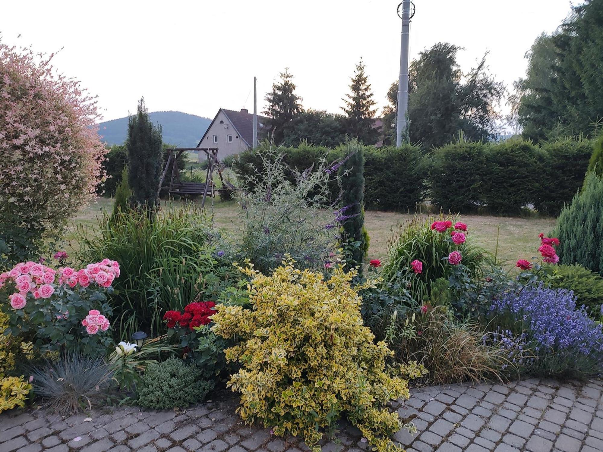 Agroturystyka "U Kasi" Scinawka Gorna Exteriér fotografie